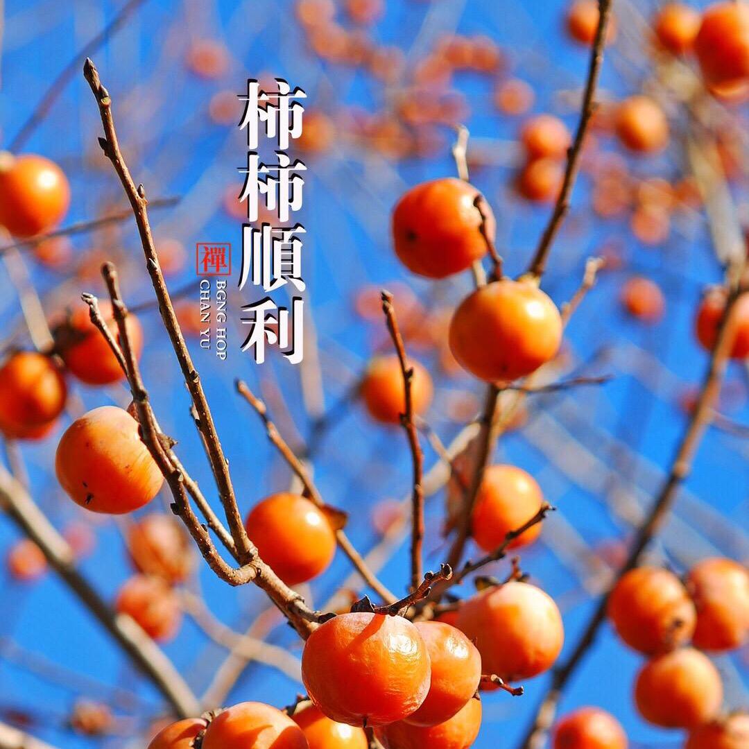 不了了之