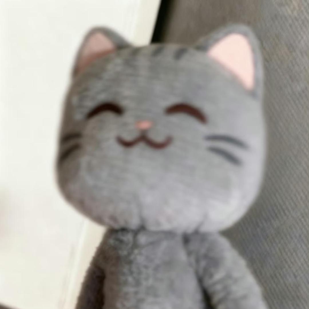 宫羽長