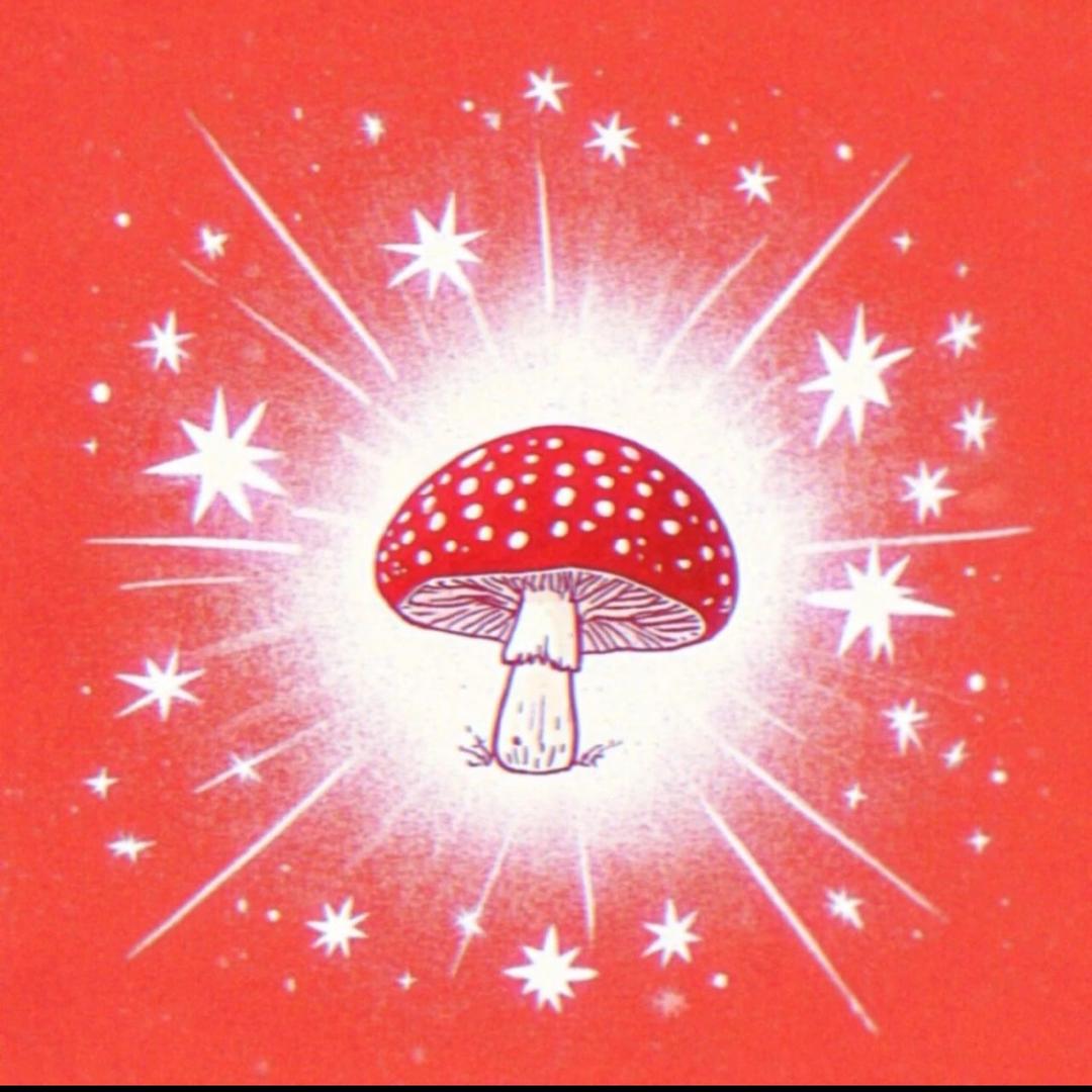 招财的小桂花✨