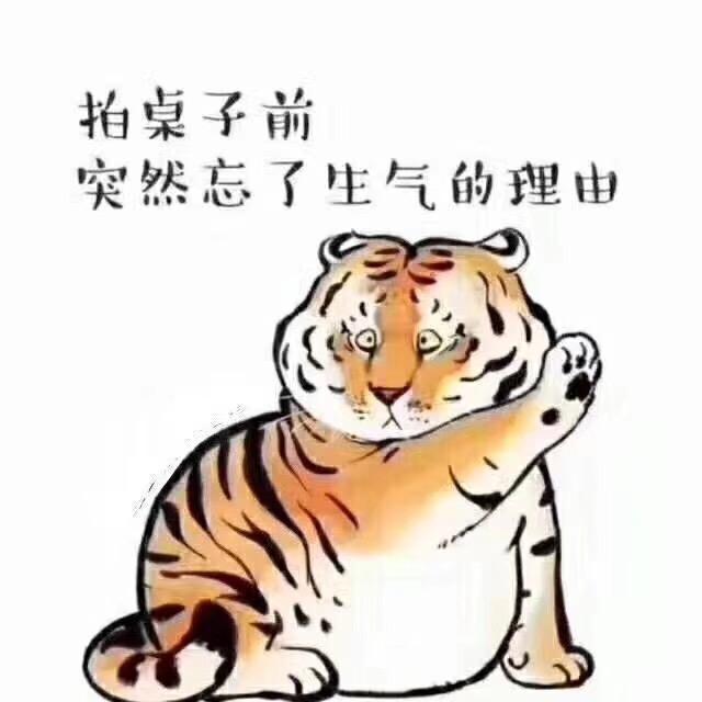 独木成林yy