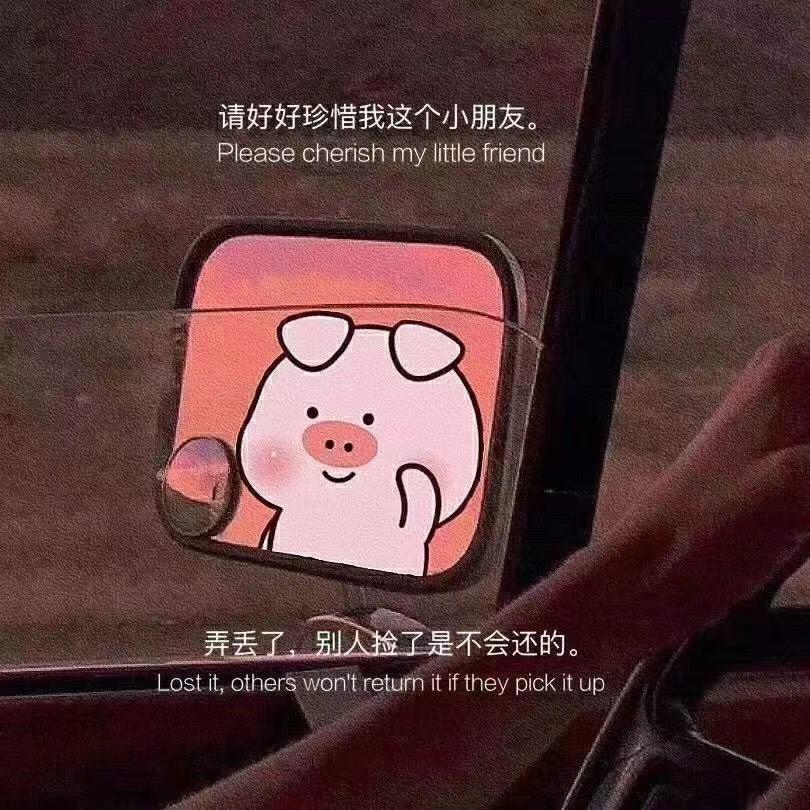 爱李不李