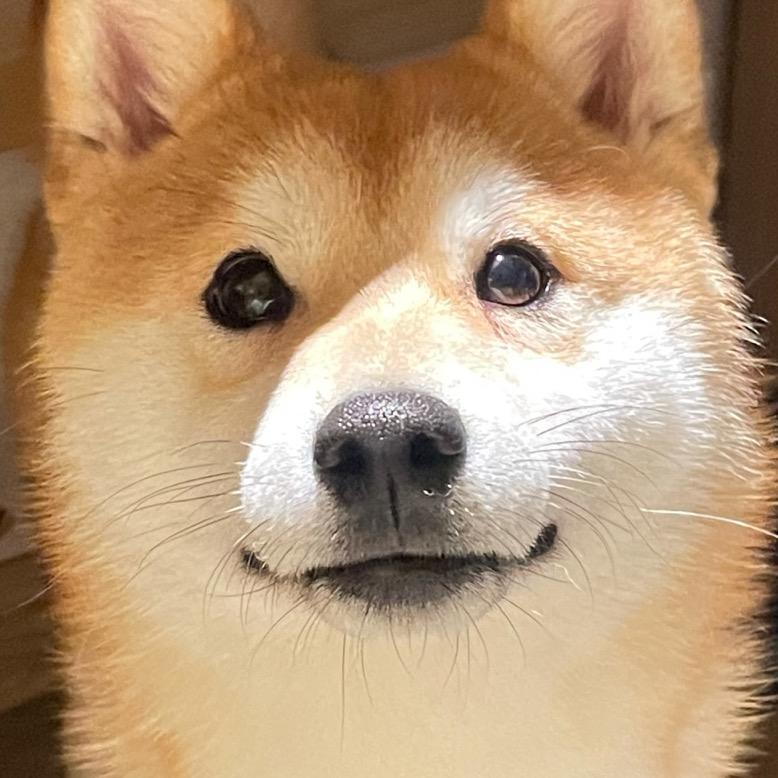 大心的少爷