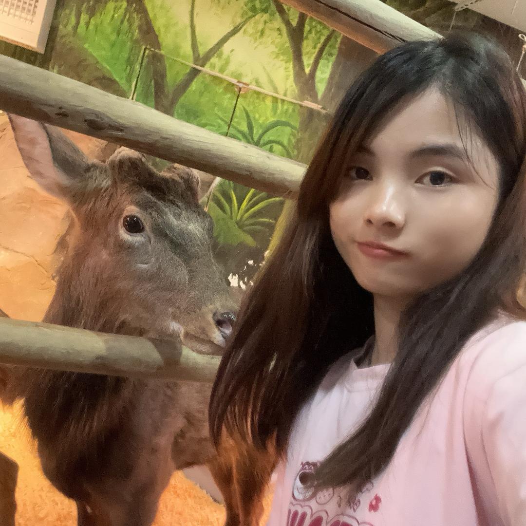 小叶百货