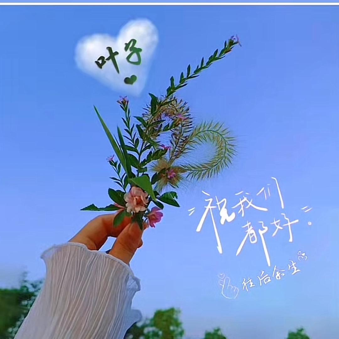 🌈叶子