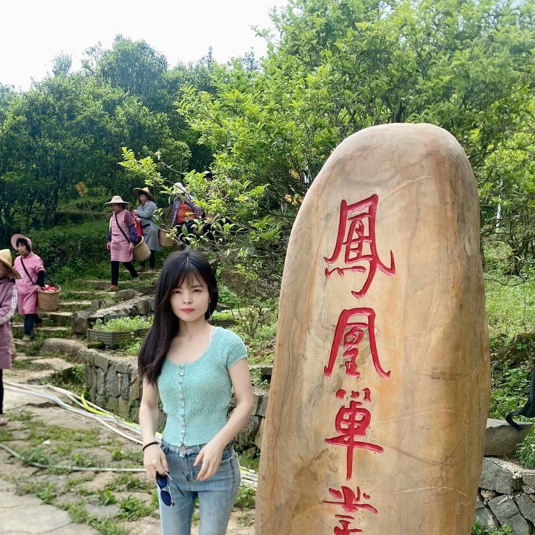 茗鑫茶叶