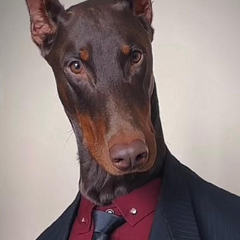 主打就是专业