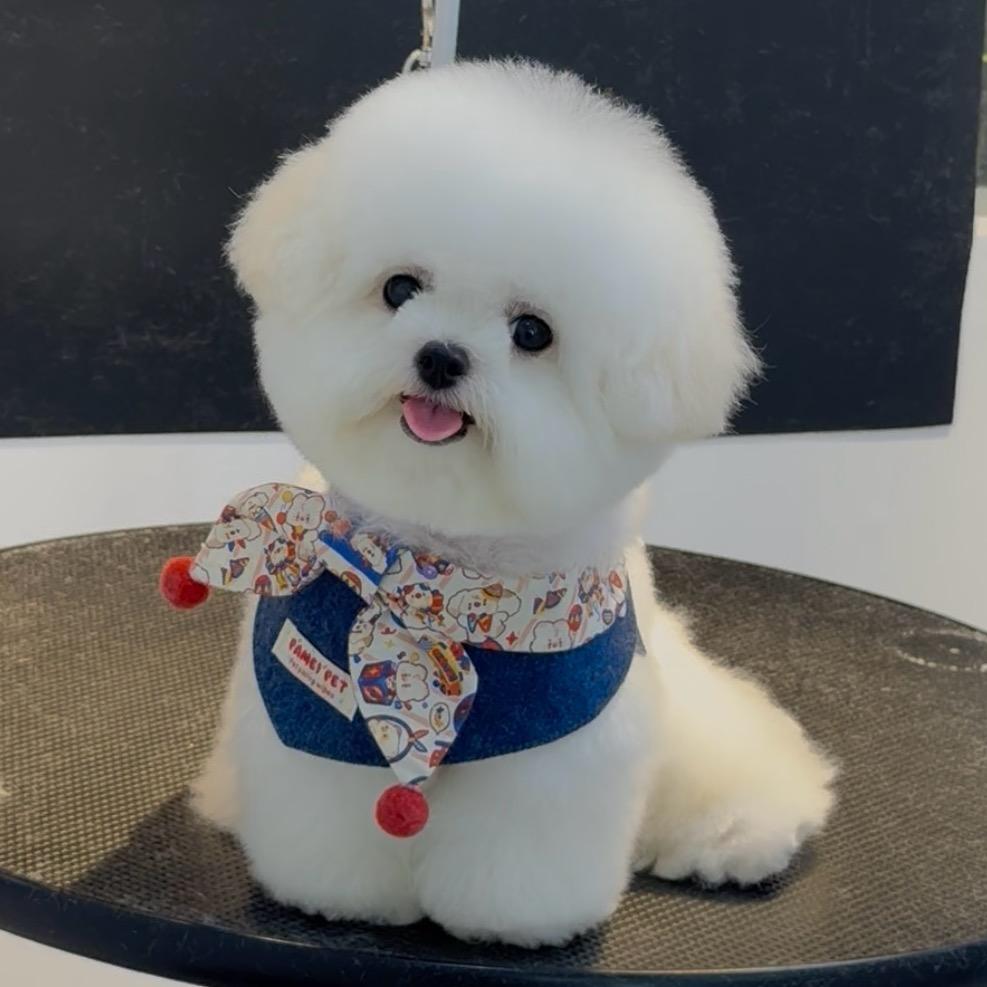 多米的一天@抖音