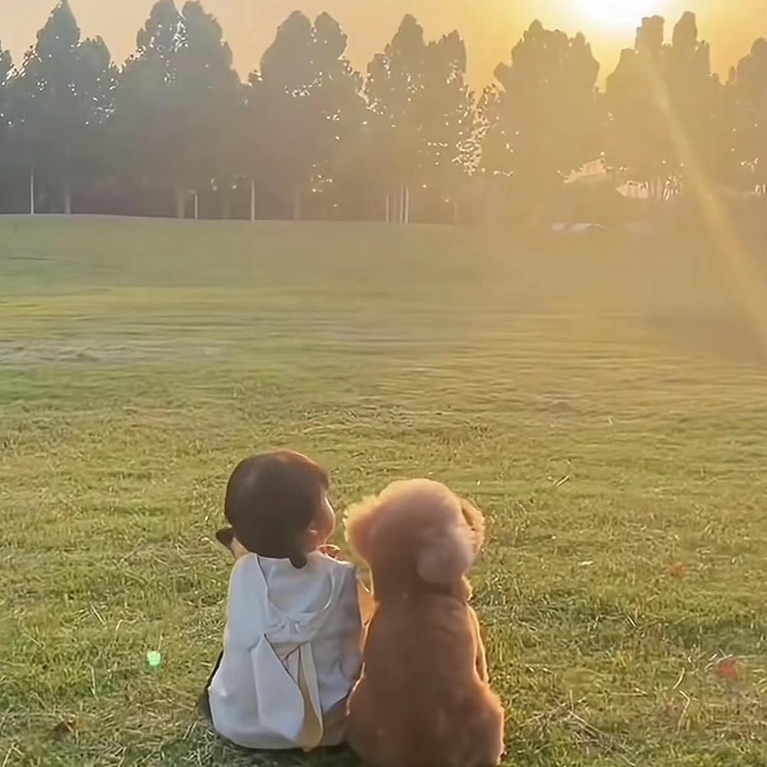 浅笑安然