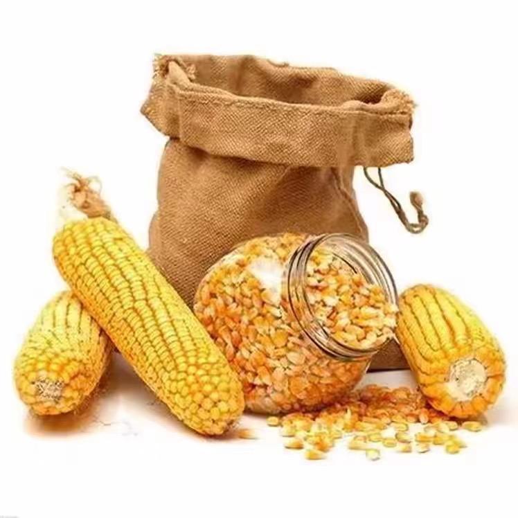 鲁达农业