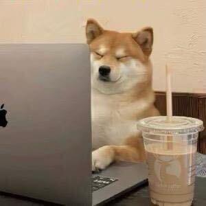 ㅤㅤㅤㅤㅤ ㅤㅤㅤㅤㅤ  ㅤㅤㅤㅤㅤ