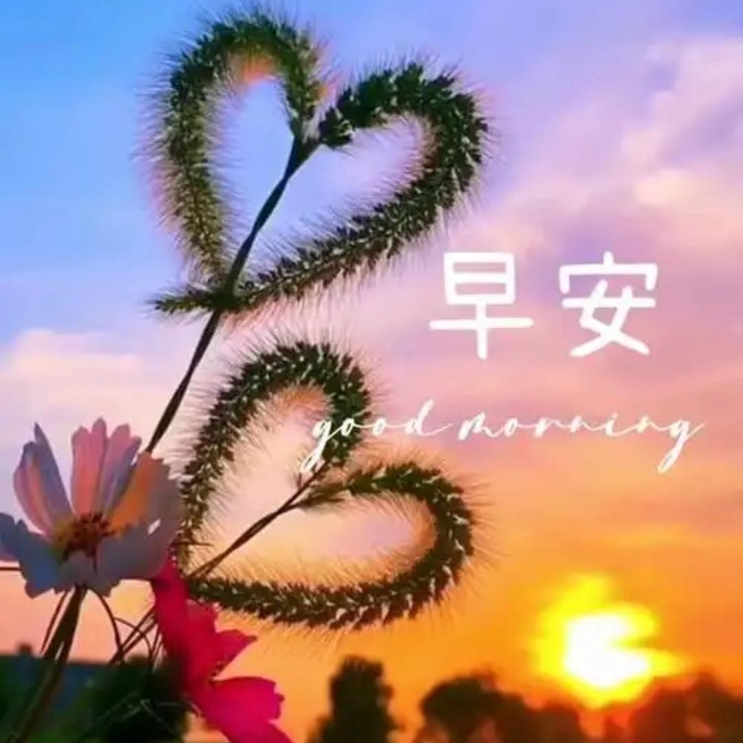 废品回收💋w二妞