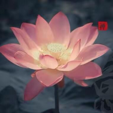 祥语文创