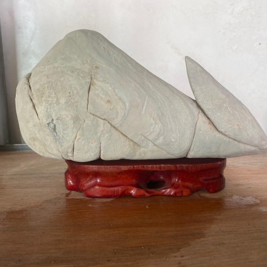 老男孩儿酷哥【以石会友】