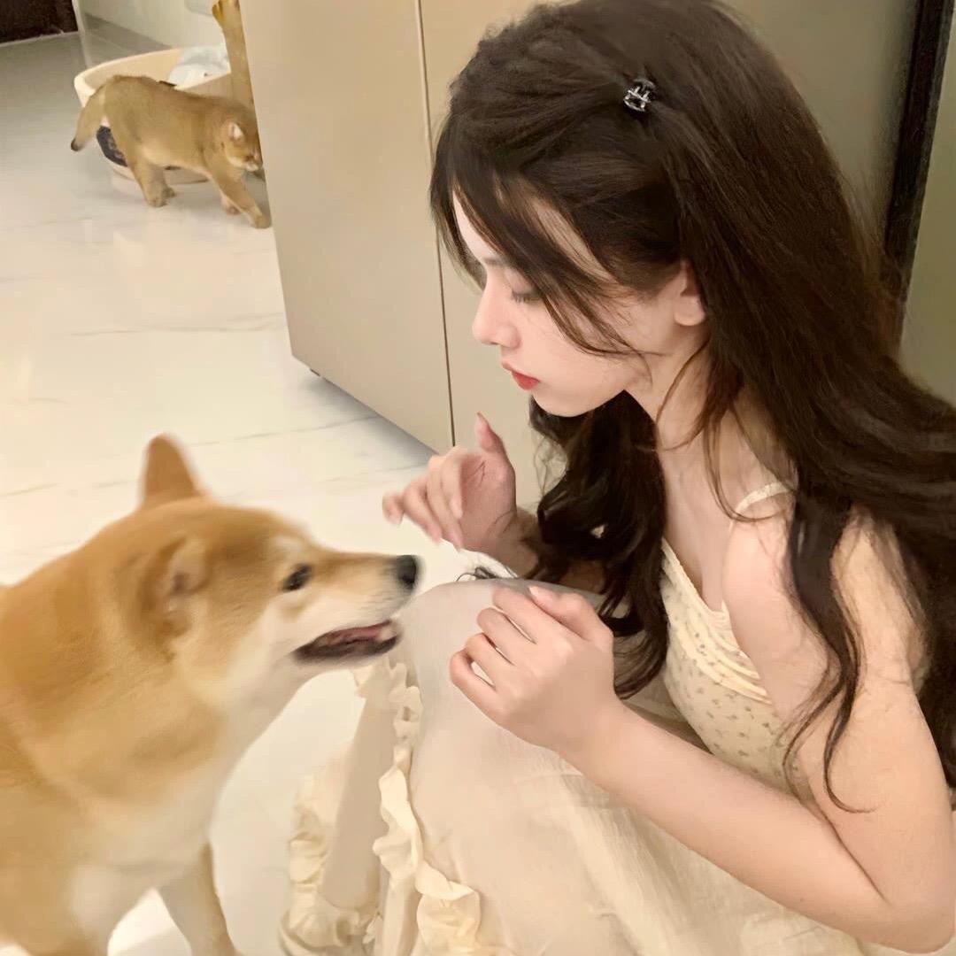 汪汪小饼干❥