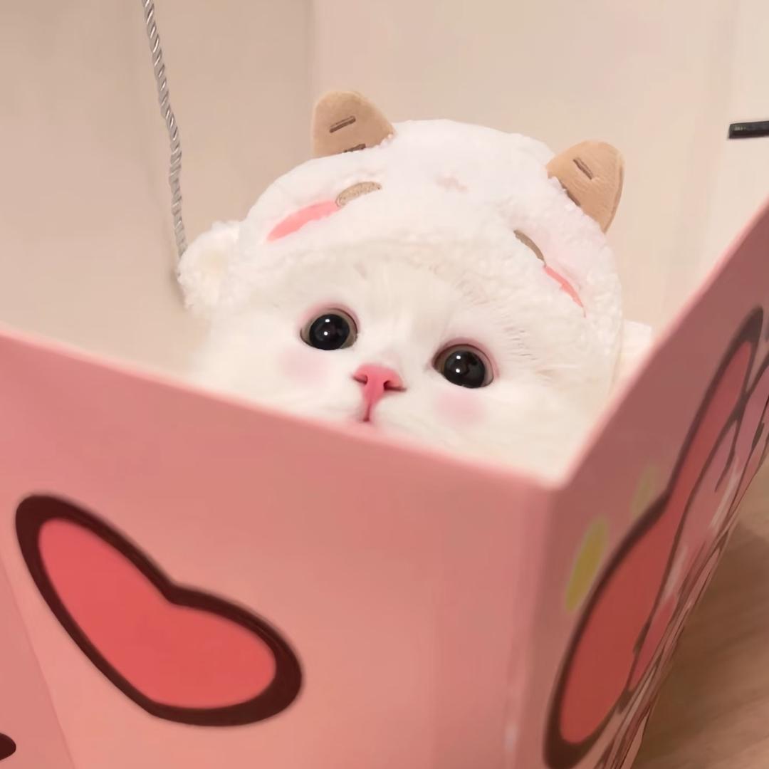 可乐aaa