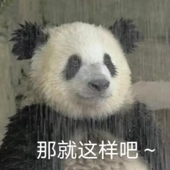 阿猫的阿包
