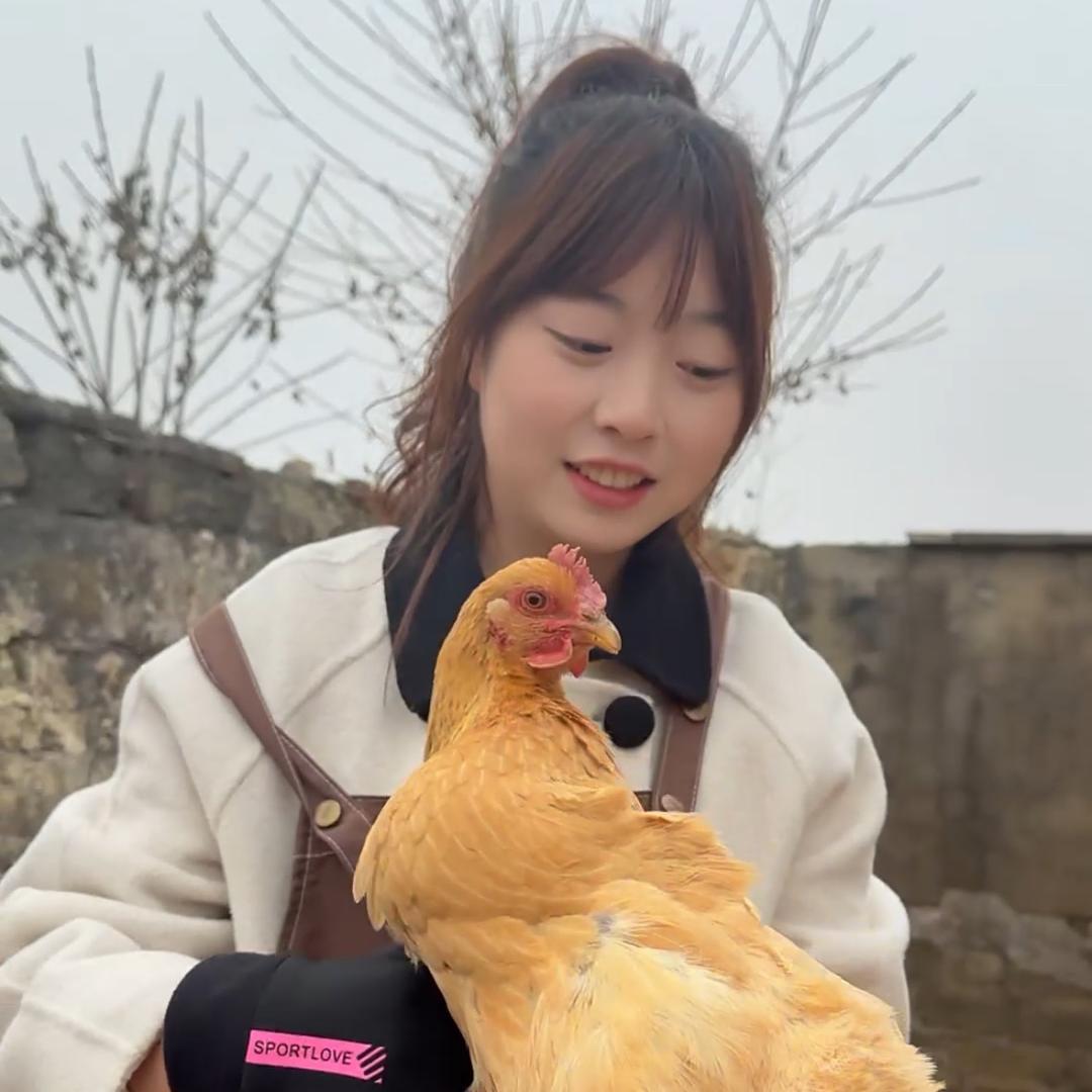 婷婷的乡村生活