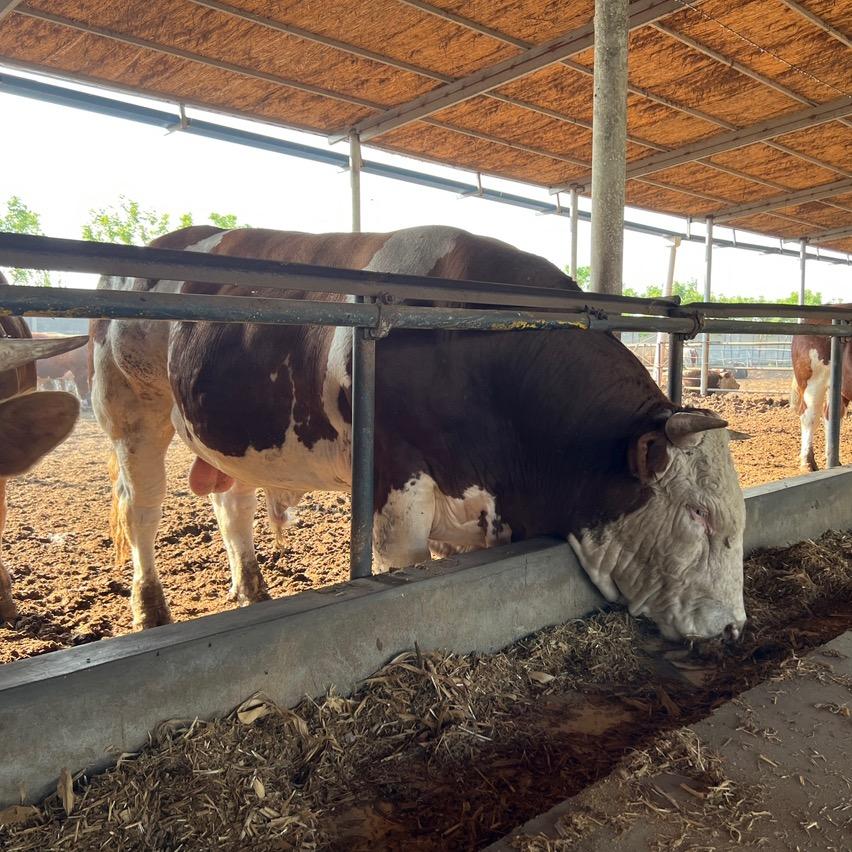 沧县海润养殖场
