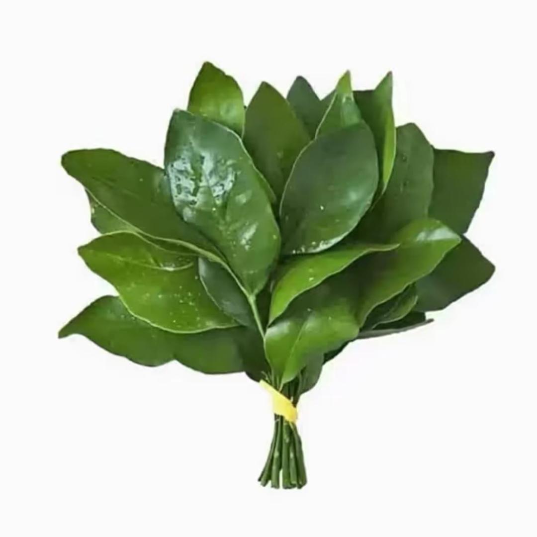 阿㤼