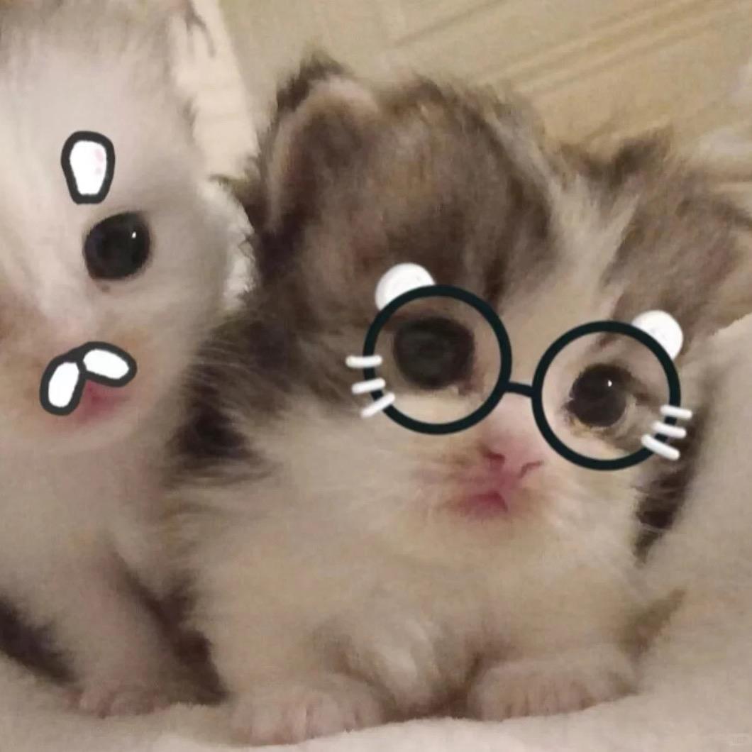 蚊子大王