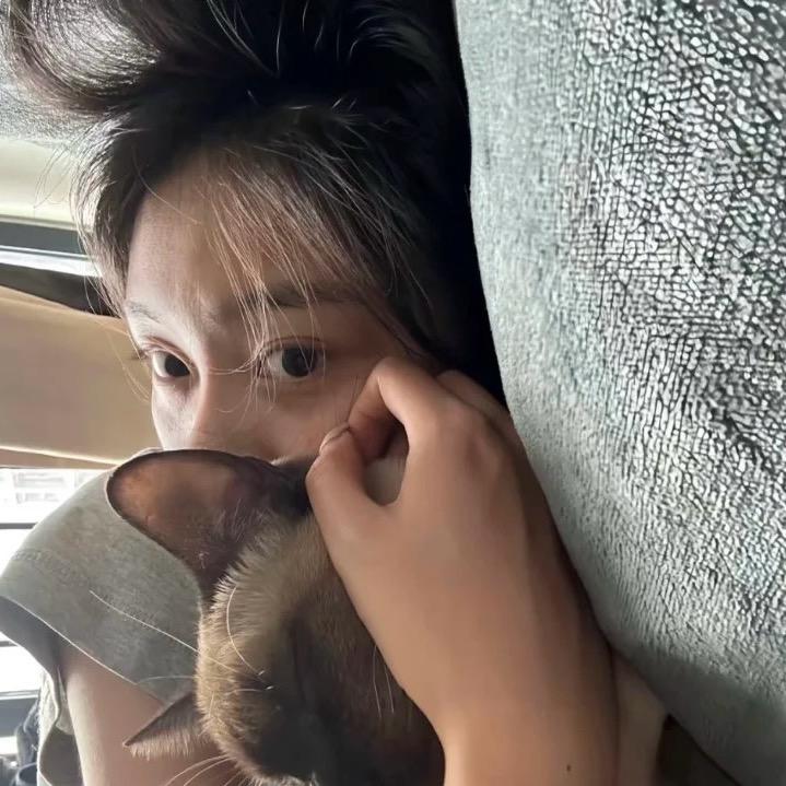 💤