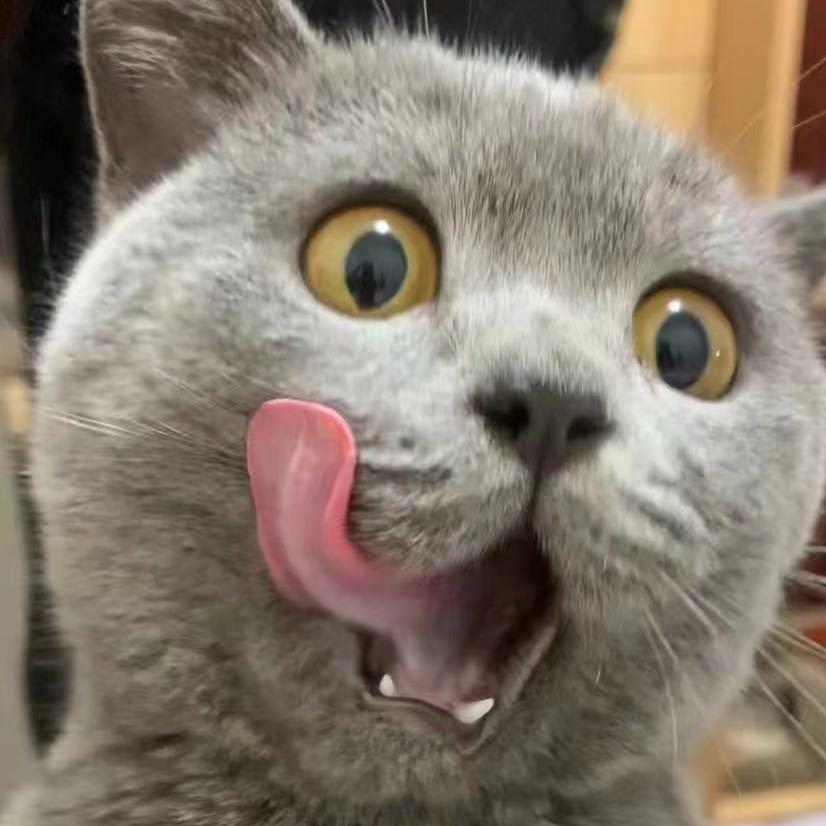 普普普