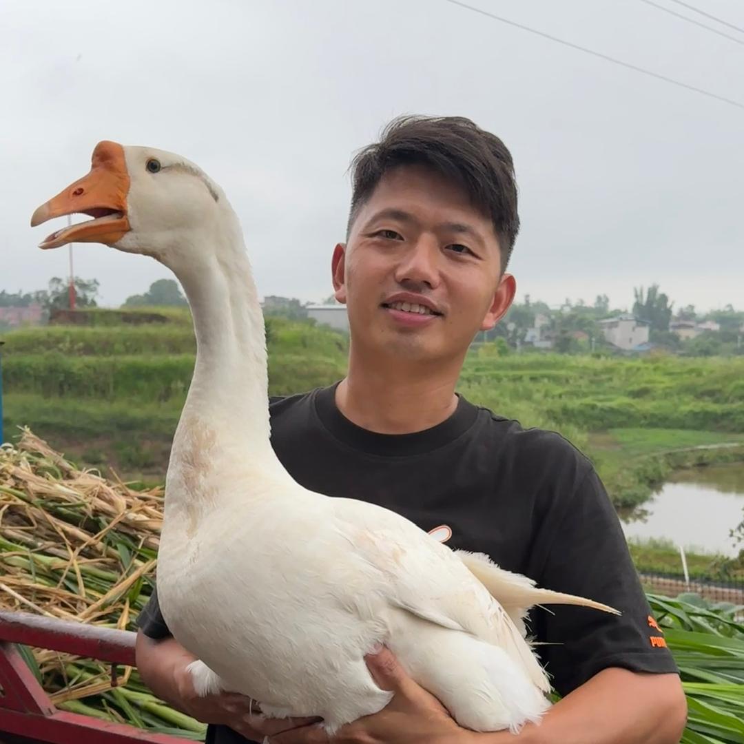 家乡情农产