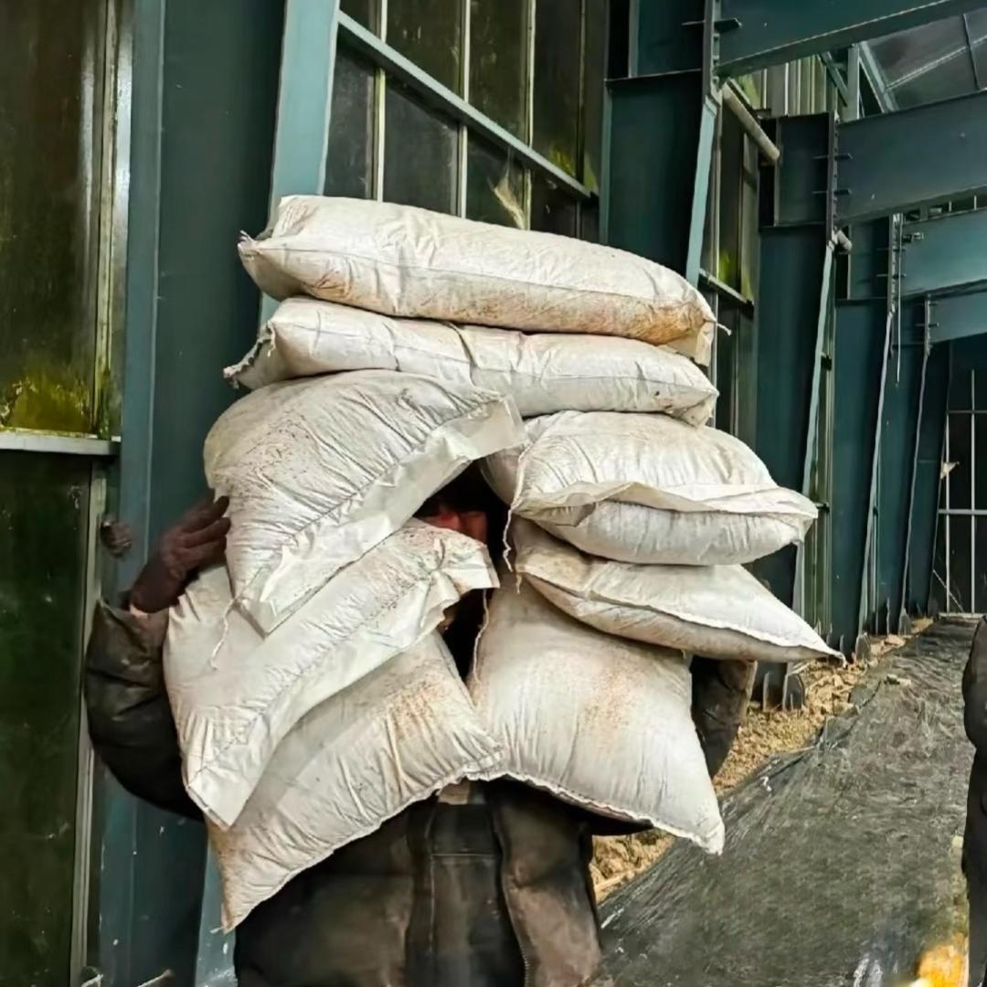 我也不太了解他