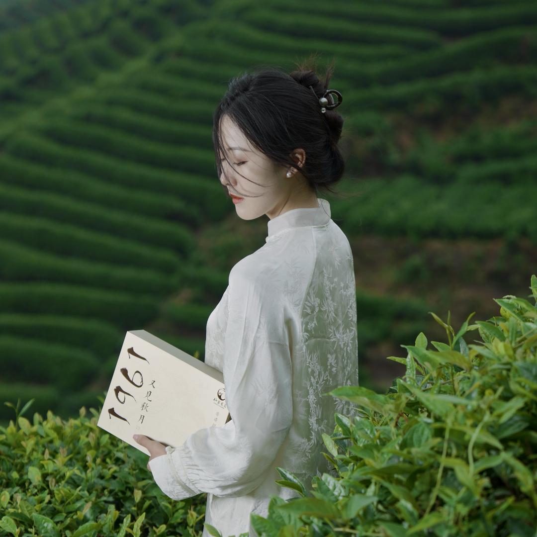 茶人王