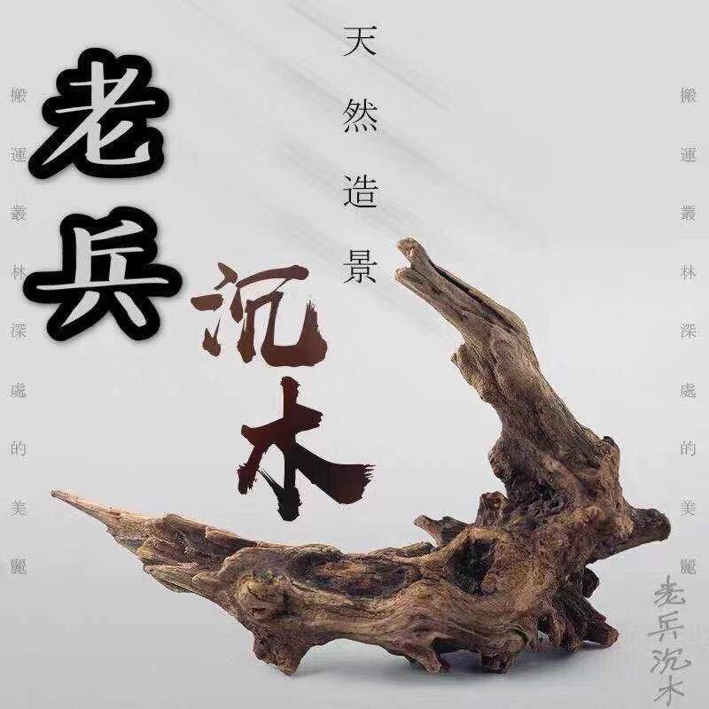 老兵沉木2号