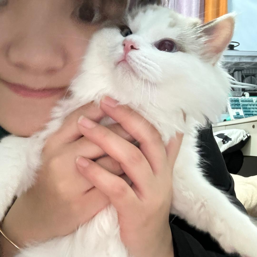 靜.