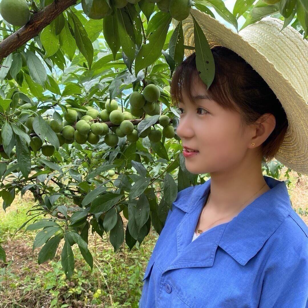 万州分水李子