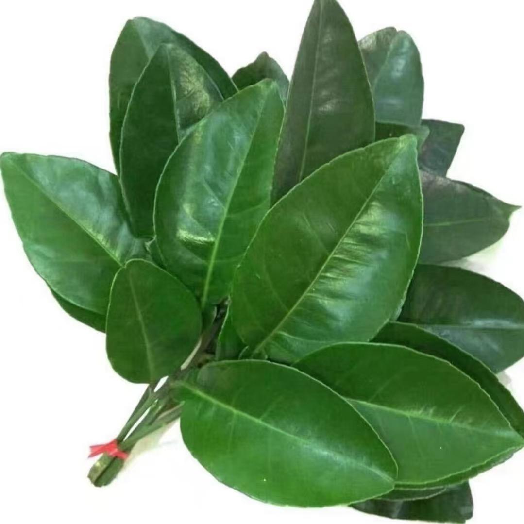 三岁快发财啦🌈