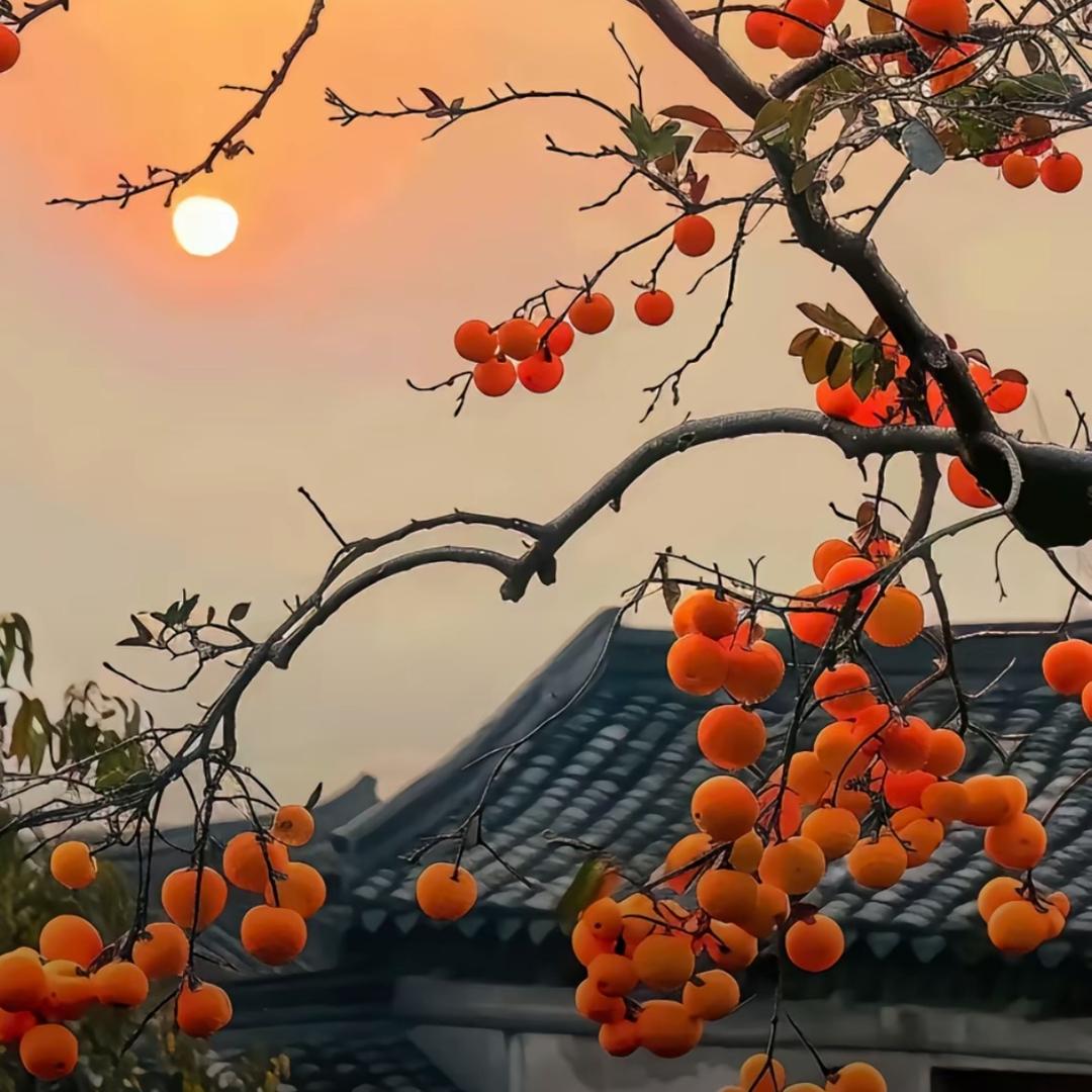 星 月