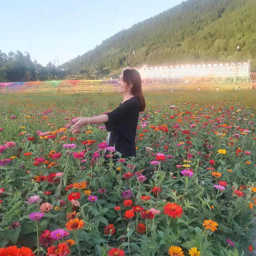 香香