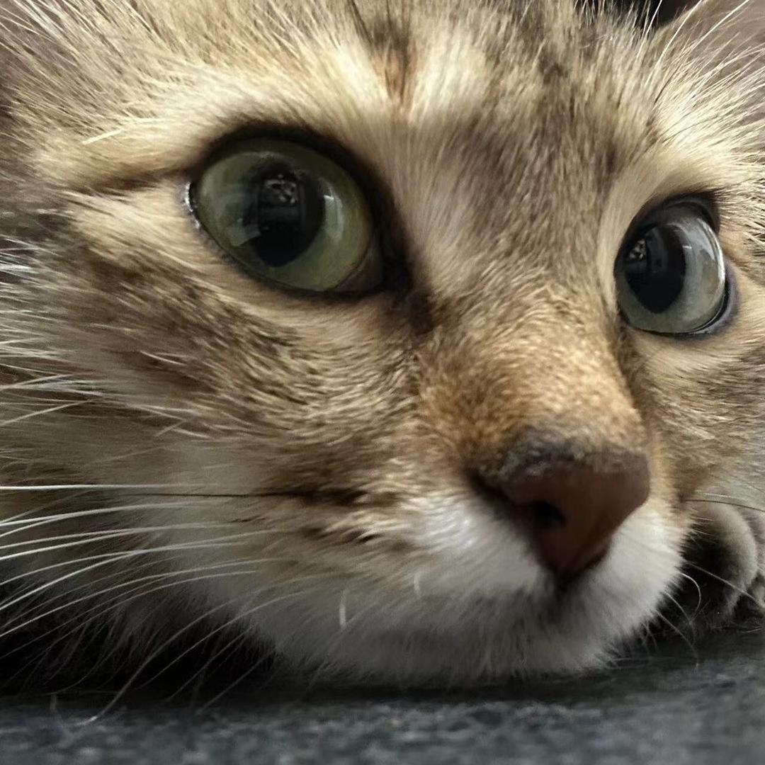 扣泥几哇🌝👍