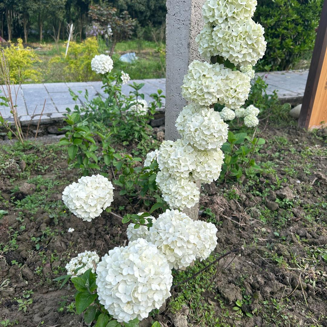 嗯。