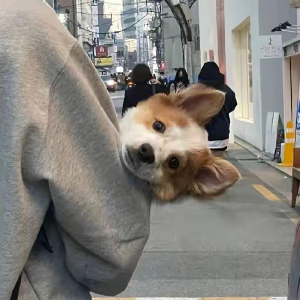 只钟意你的名字