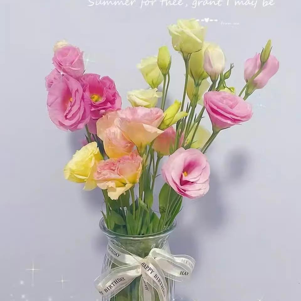 一路向阳🌈