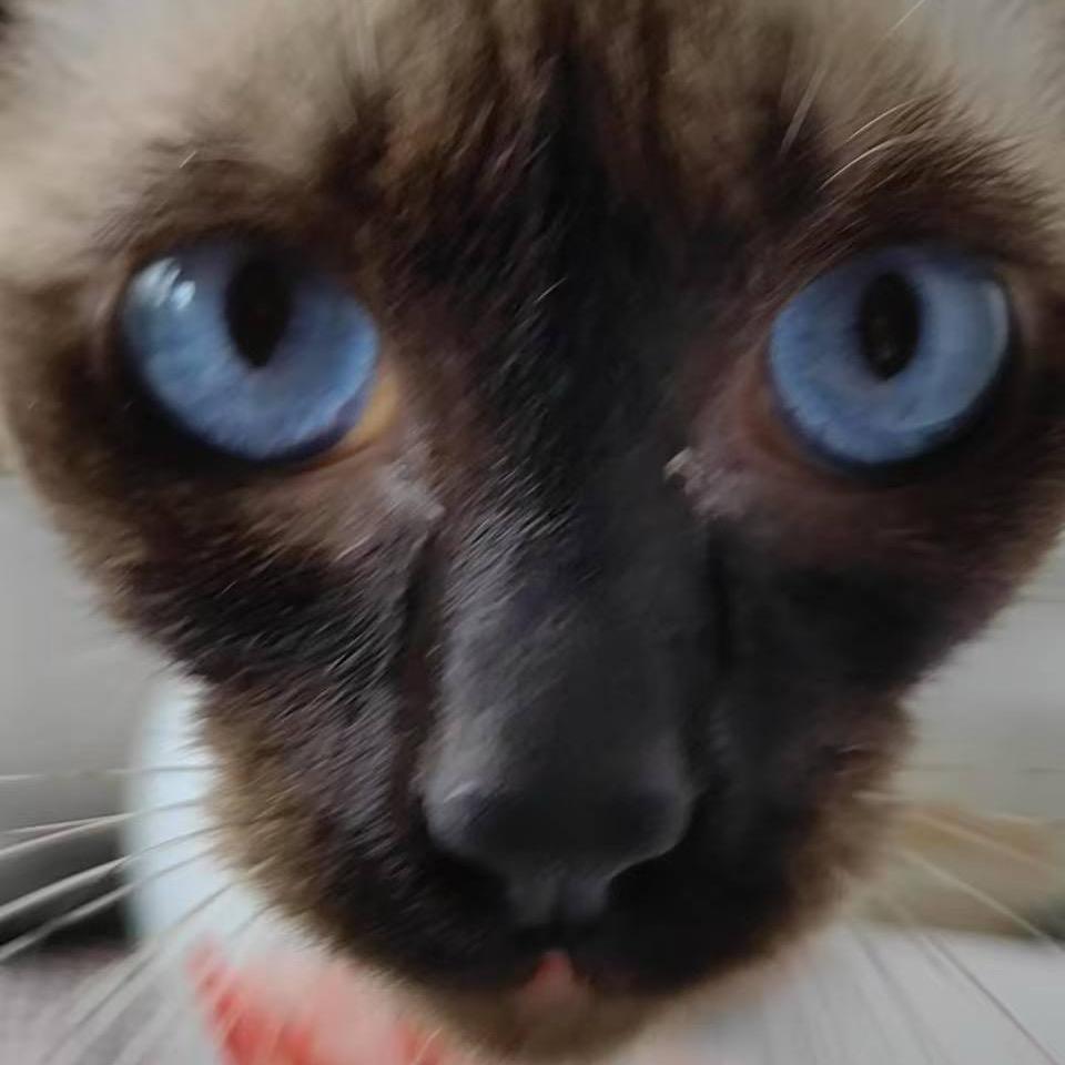 童禹坤