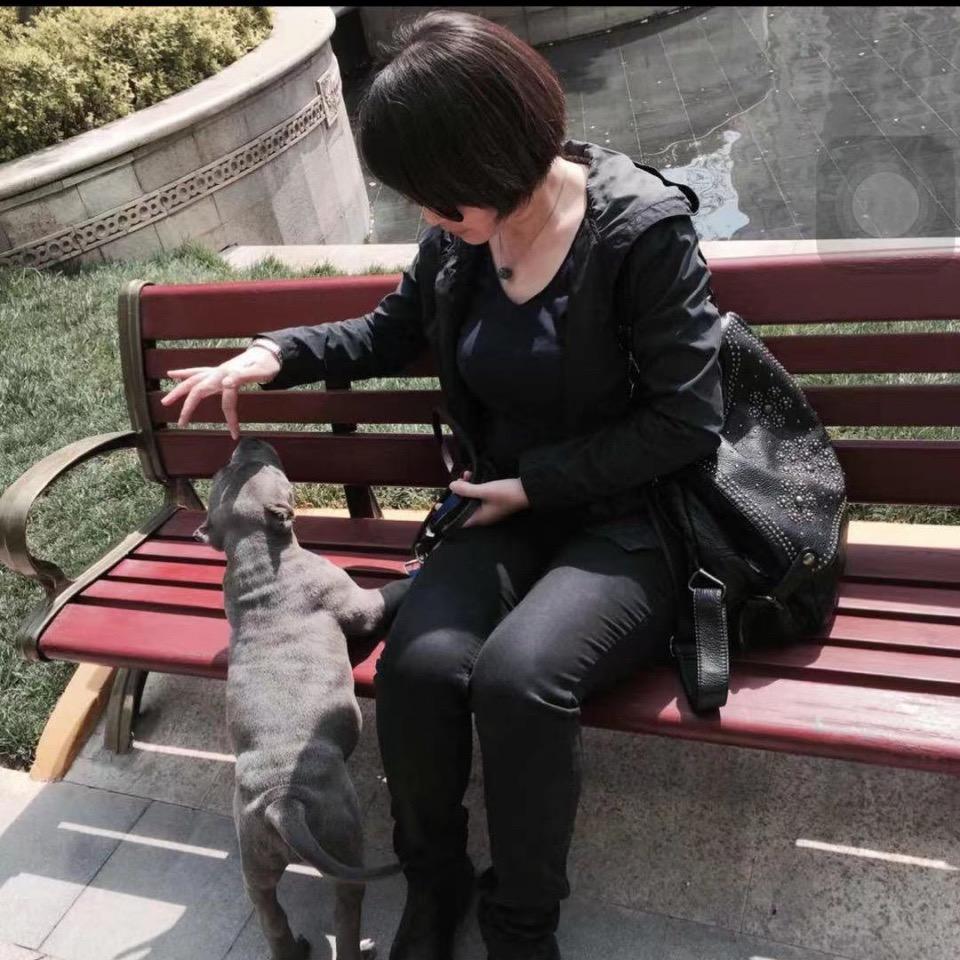 一一恶霸犬