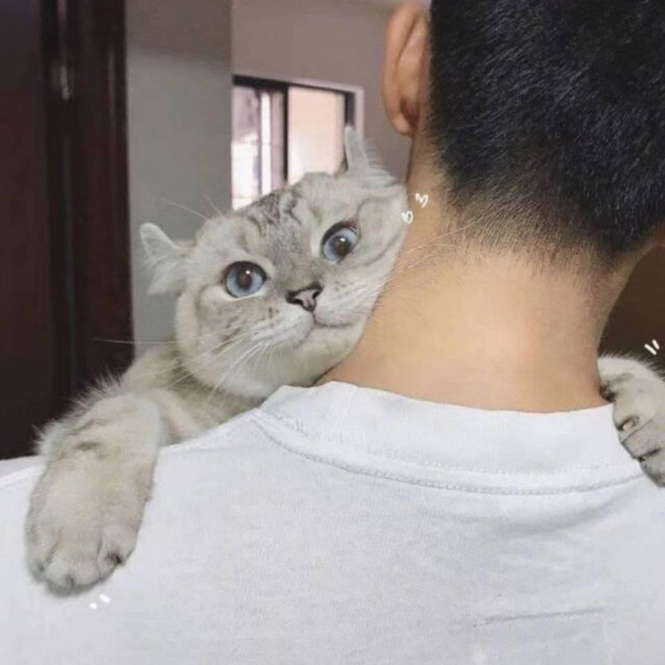 明天 不熬夜了