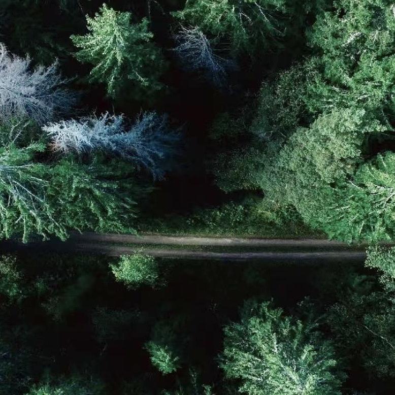 奶一口鲜食全国仓