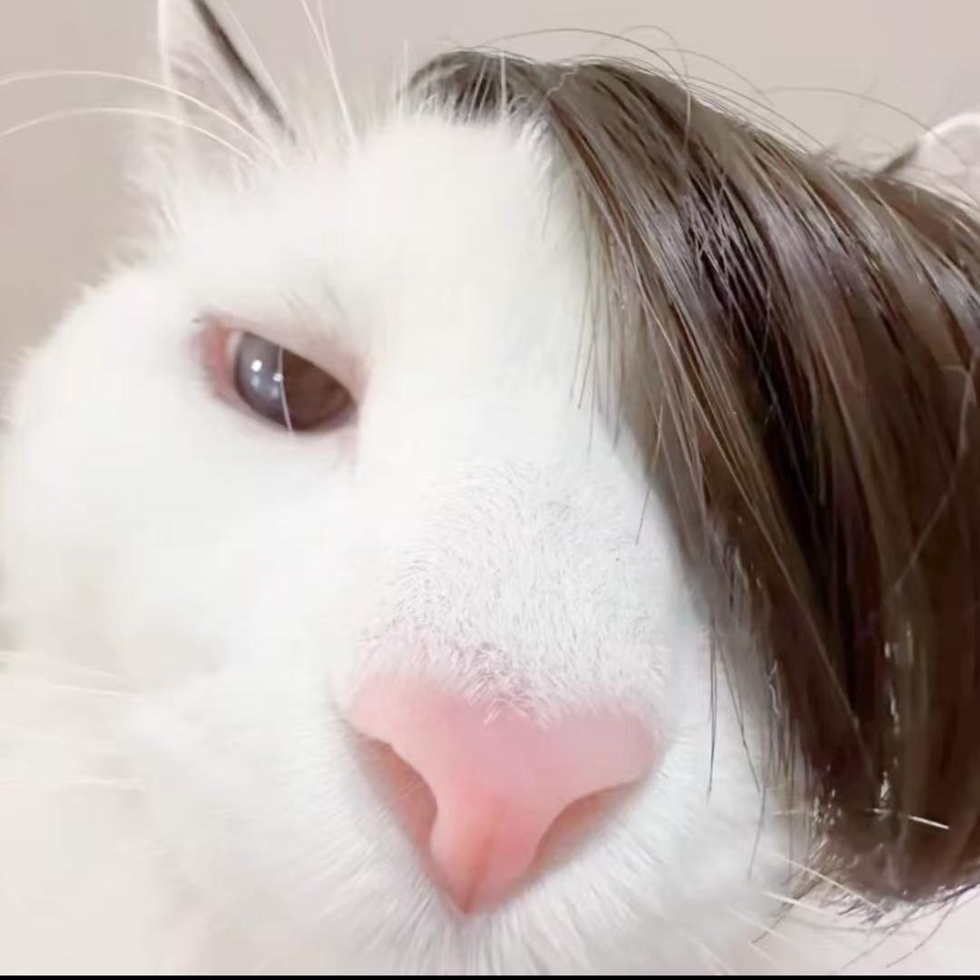 怕死不是少先队