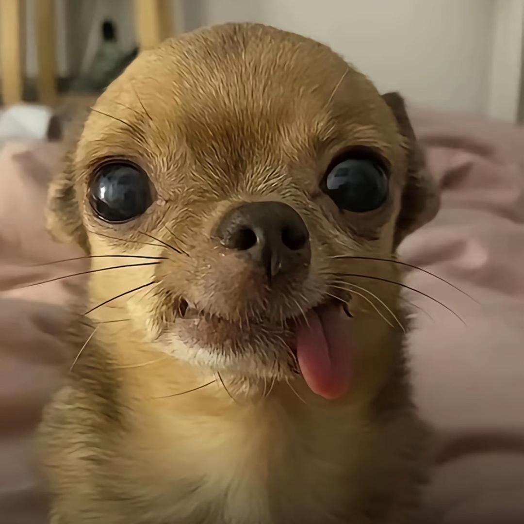 niki