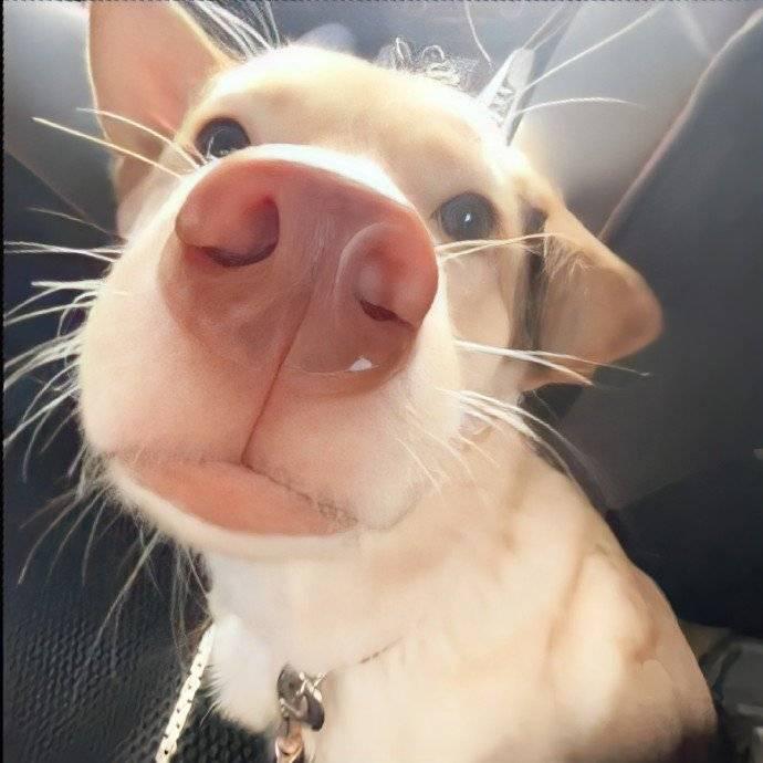 贺贺有明☀️