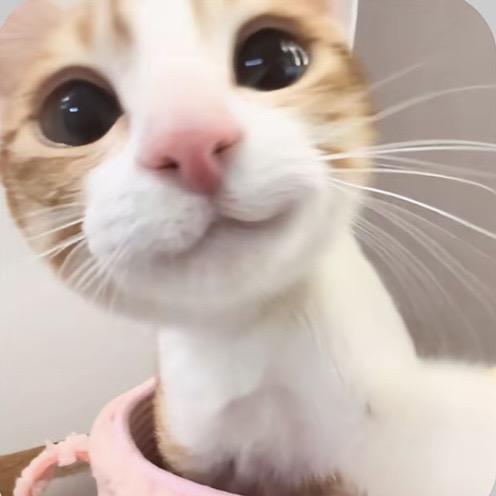 啦啦啦啦啦啦～