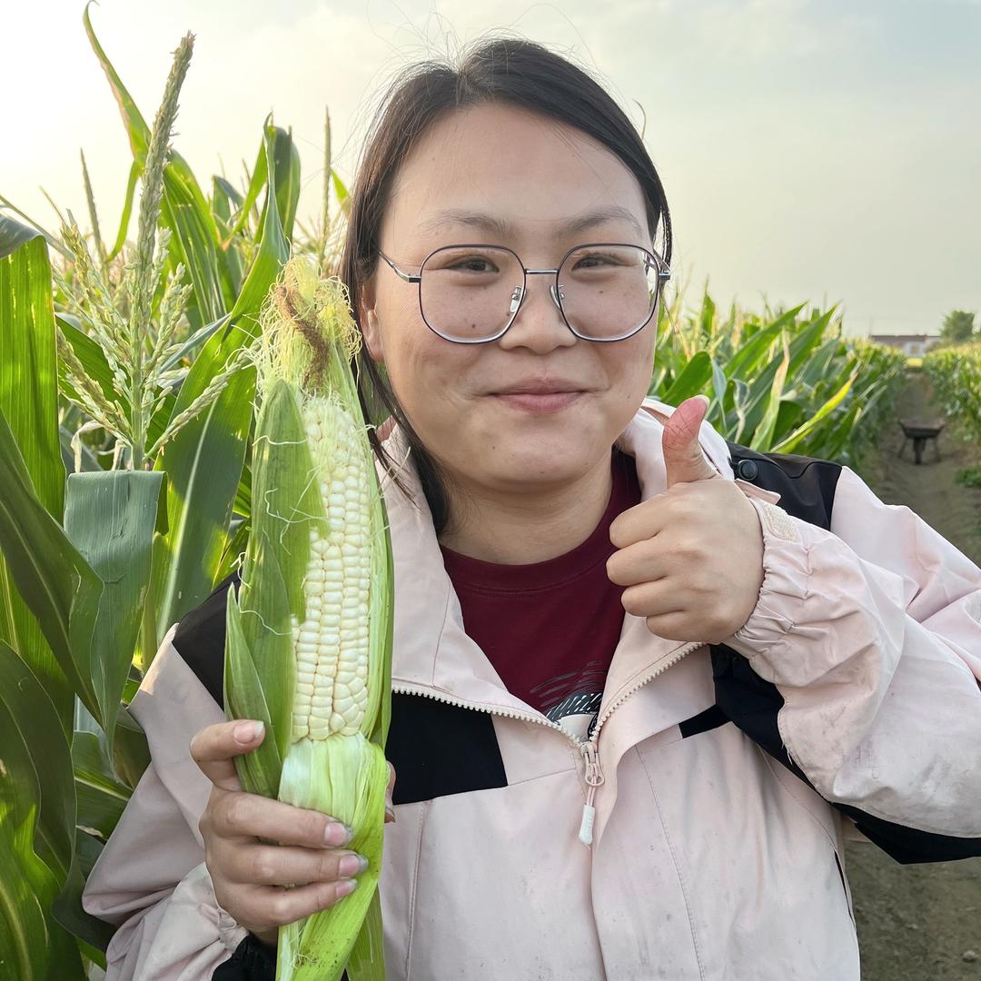 东台胖西施农家菜
