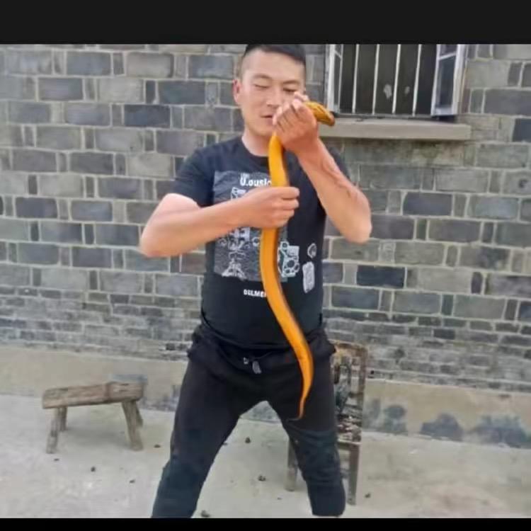 户外明锅