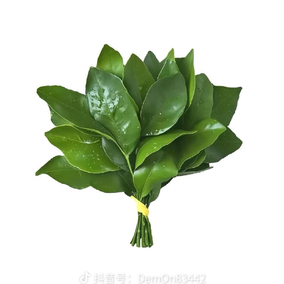小刘分享好物